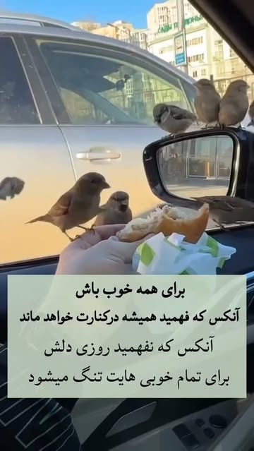 کفش مجلسی پاشنه ۱۰ سانت